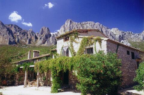 bodegas-torre-enmedio-haus-mit-straeuchern-und-bergen